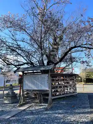 津島神社(宮城県)