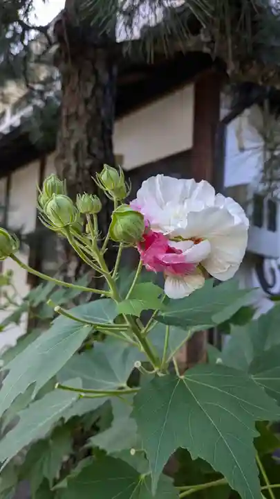 得浄明院(善光寺別院)(京都府)