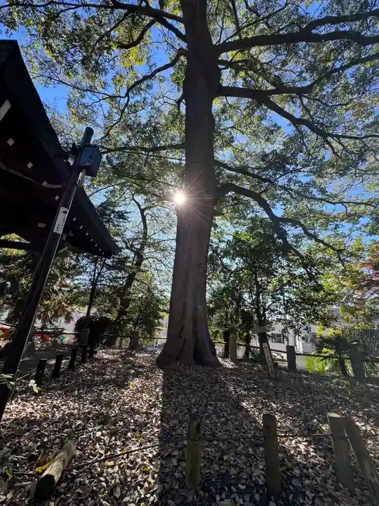 八幡神社(東京都)