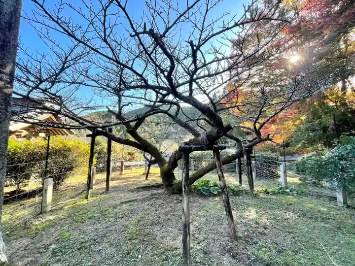 長徳寺(三重県)