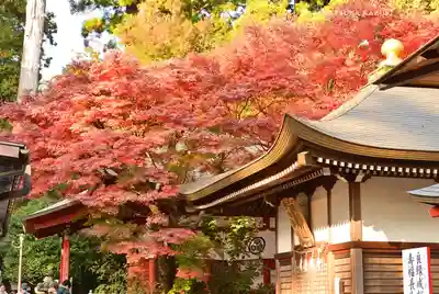 高尾山薬王院(東京都)