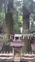 高千穂神社の自然