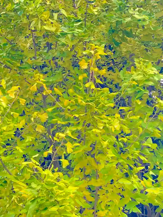 宇賀神社(京都府)