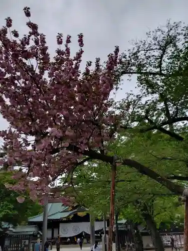 靖國神社(東京都)