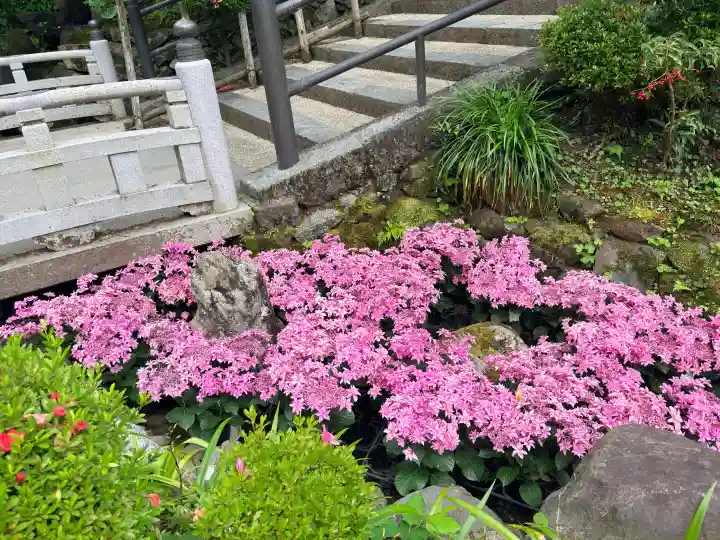 岡寺(龍蓋寺)(奈良県)