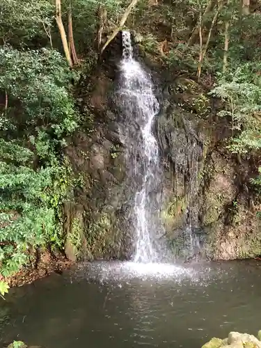 出雲大社北島国造館 出雲教の自然