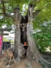 三ツ木神社(埼玉県)