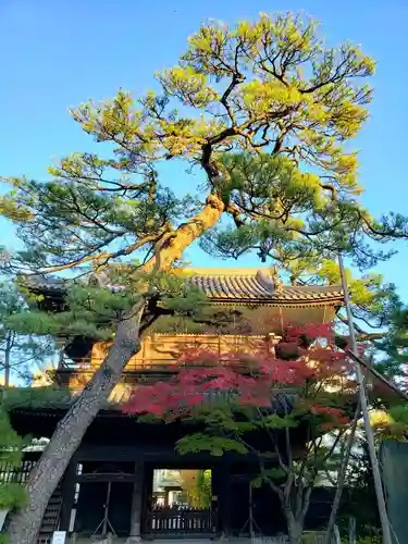 泉岳寺の山門