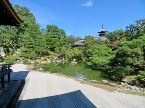 仁和寺の庭園