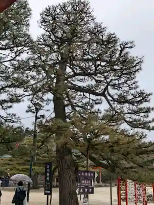 平安神宮の{uncategorized: "未分類", other: "その他", undefined: "問題あり", building: "その他建物", grave: "お墓", sacred_gate: "鳥居", guardian: "狛犬", statue: "像", buddha: "仏像", history: "歴史", nature: "自然", garden: "庭園", animal: "動物", pagoda: "塔", temizu: "手水舎", mountain_gate: "山門・神門", sanctuary: "本殿・本堂", subordinate: "末社・摂社", art: "芸術", scenery: "景色", jizo: "地蔵", ema: "絵馬", goshuin: "御朱印", omikuji: "おみくじ", items: "授与品その他", amulet: "お守り", goshuincho: "御朱印帳", eats: "食事", festival: "お祭り", votive_dance: "神楽", shichigosan: "七五三参", wedding: "結婚式", experience: "体験その他", initially: "初詣", around: "周辺", anti_infection: "感染症対策"}