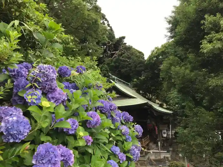 走水神社の自然