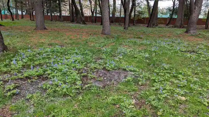 十勝護国神社の庭園