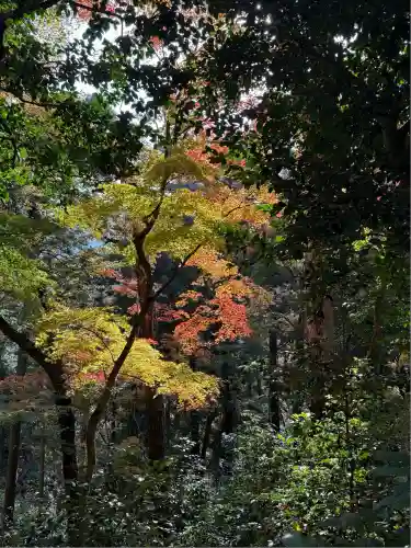 金刀比羅神社(岡山県)