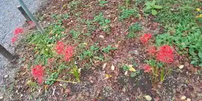 平野神社(京都府)