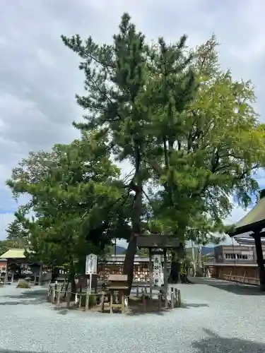 阿蘇神社(熊本県)
