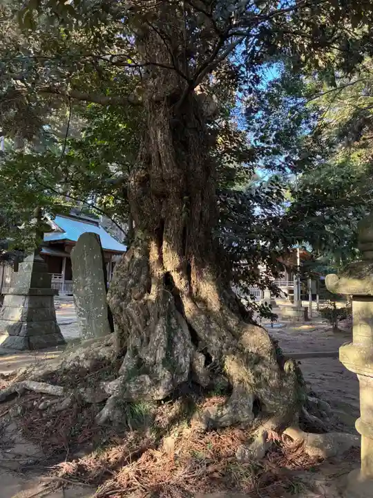 木内大神(千葉県)