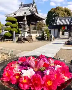 真言宗 善通寺派 薬王寺(香川県)(2024年02月13日(火) 19時27分21秒投稿)