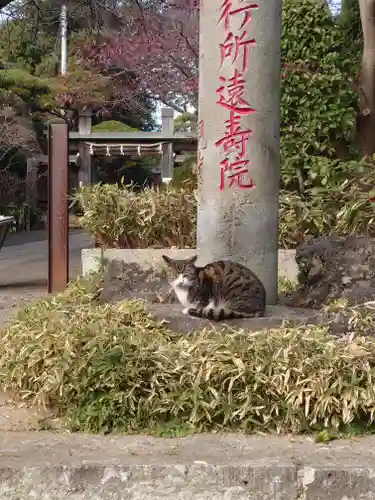 法華経寺(千葉県)