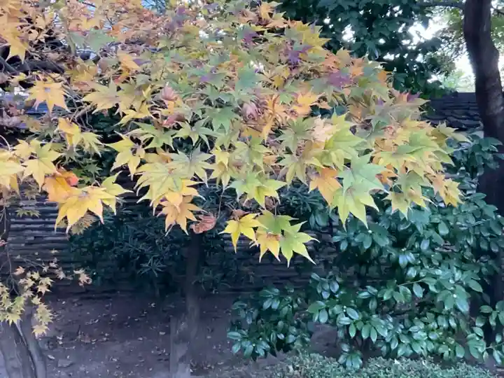 待乳山聖天(本龍院)の自然