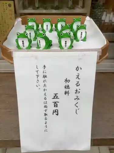 富部神社のおみくじ