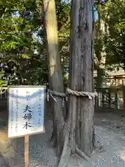 常陸第三宮　吉田神社の自然