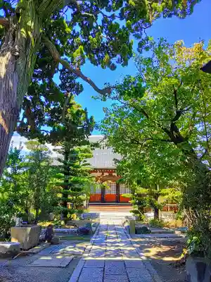 徳念寺の本殿・本堂