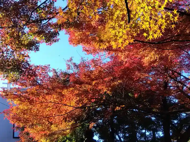 足羽山招魂社(福井県)