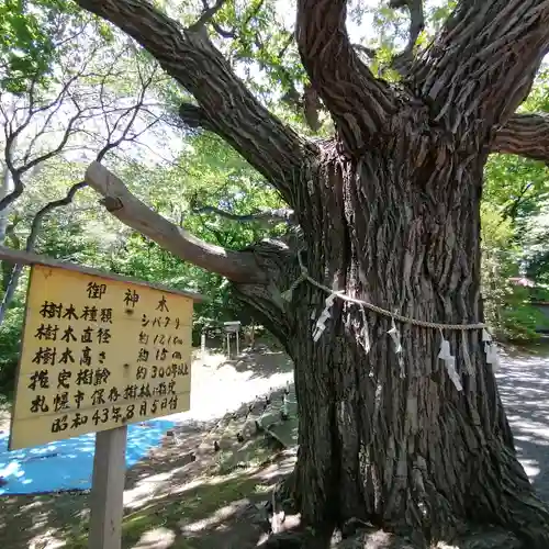 相馬神社の自然