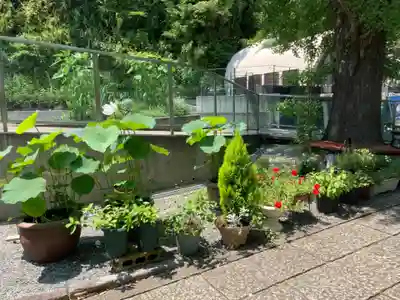 浄土寺(神奈川県)