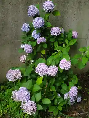 愛宕神社(福島県)