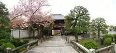 本法寺(京都府)