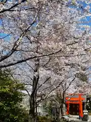 赤城神社の自然