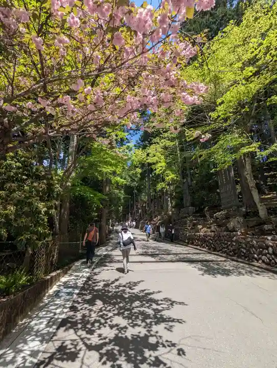 三峯神社(埼玉県)