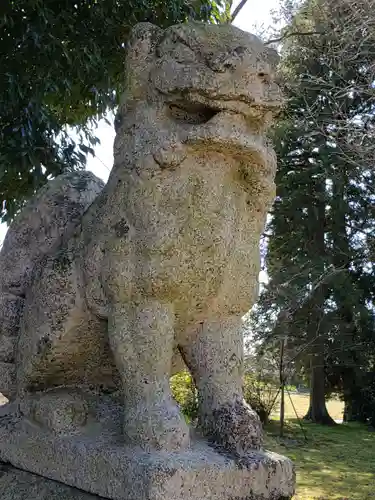 小杉神社の狛犬