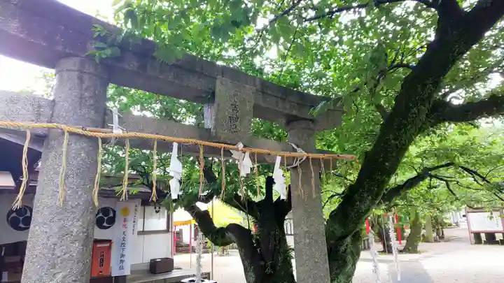 山王宮 日吉神社の鳥居