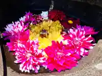 真言宗 善通寺派 薬王寺の手水舎