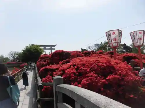 長岡天満宮の庭園