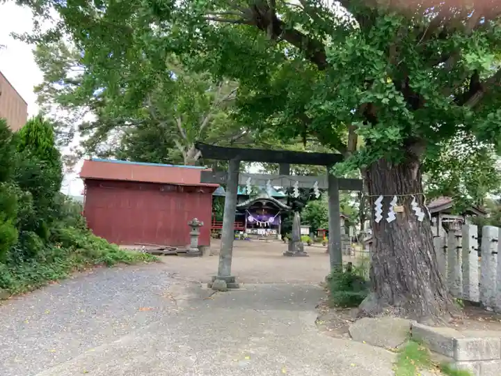 水海道鎮守 八幡神社(茨城県)