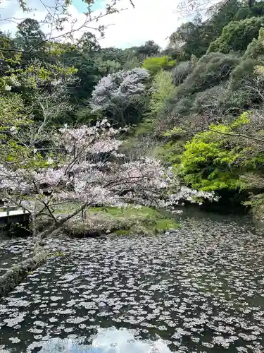 小松寺(千葉県)