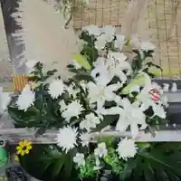 彌彦神社 (伊夜日子神社)の手水舎