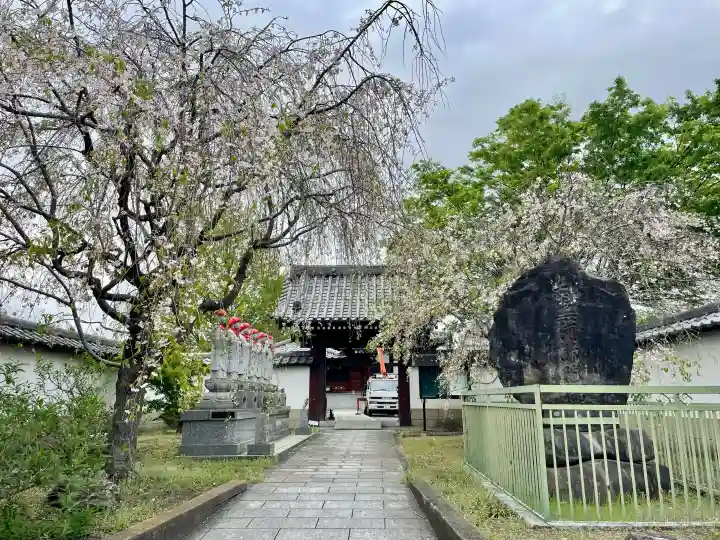 九品寺の{uncategorized: "未分類", other: "その他", undefined: "問題あり", building: "その他建物", grave: "お墓", sacred_gate: "鳥居", guardian: "狛犬", statue: "像", buddha: "仏像", history: "歴史", nature: "自然", garden: "庭園", animal: "動物", pagoda: "塔", temizu: "手水舎", mountain_gate: "山門・神門", sanctuary: "本殿・本堂", subordinate: "末社・摂社", art: "芸術", scenery: "景色", jizo: "地蔵", ema: "絵馬", goshuin: "御朱印", omikuji: "おみくじ", items: "授与品その他", amulet: "お守り", goshuincho: "御朱印帳", eats: "食事", festival: "お祭り", votive_dance: "神楽", shichigosan: "七五三参", wedding: "結婚式", experience: "体験その他", initially: "初詣", around: "周辺", anti_infection: "感染症対策"}