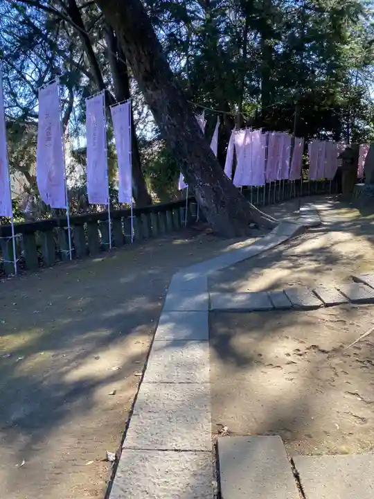 前玉神社(埼玉県)