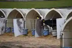 宝光寺の動物