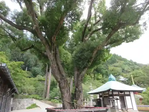 勝尾寺(大阪府)