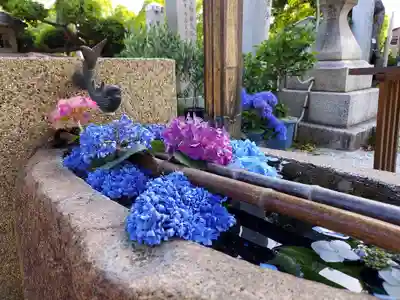 水堂須佐男神社の手水舎