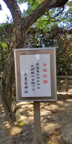 天豊受神社のその他建物