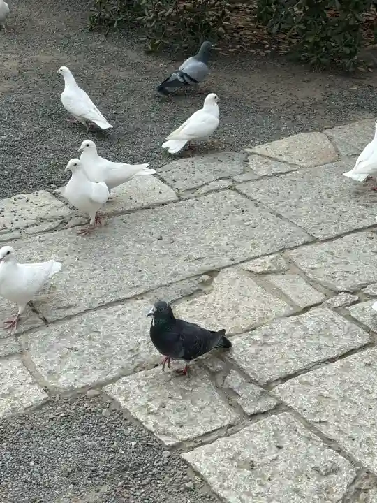 旗上弁財天社の{uncategorized: "未分類", other: "その他", undefined: "問題あり", building: "その他建物", grave: "お墓", sacred_gate: "鳥居", guardian: "狛犬", statue: "像", buddha: "仏像", history: "歴史", nature: "自然", garden: "庭園", animal: "動物", pagoda: "塔", temizu: "手水舎", mountain_gate: "山門・神門", sanctuary: "本殿・本堂", subordinate: "末社・摂社", art: "芸術", scenery: "景色", jizo: "地蔵", ema: "絵馬", goshuin: "御朱印", omikuji: "おみくじ", items: "授与品その他", amulet: "お守り", goshuincho: "御朱印帳", eats: "食事", festival: "お祭り", votive_dance: "神楽", shichigosan: "七五三参", wedding: "結婚式", experience: "体験その他", initially: "初詣", around: "周辺", anti_infection: "感染症対策"}