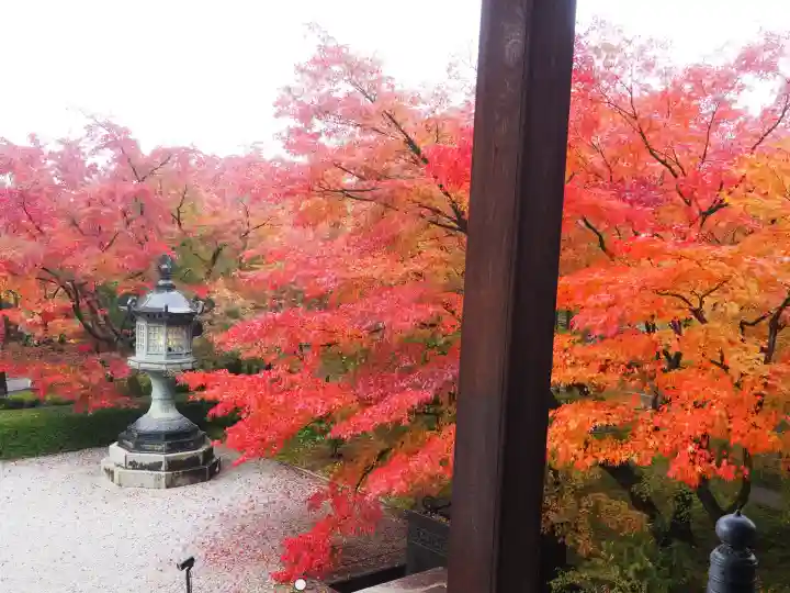禅林寺(永観堂)(京都府)