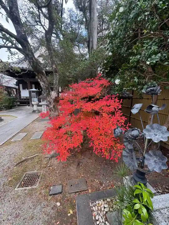 善福寺の{uncategorized: "未分類", other: "その他", undefined: "問題あり", building: "その他建物", grave: "お墓", sacred_gate: "鳥居", guardian: "狛犬", statue: "像", buddha: "仏像", history: "歴史", nature: "自然", garden: "庭園", animal: "動物", pagoda: "塔", temizu: "手水舎", mountain_gate: "山門・神門", sanctuary: "本殿・本堂", subordinate: "末社・摂社", art: "芸術", scenery: "景色", jizo: "地蔵", ema: "絵馬", goshuin: "御朱印", omikuji: "おみくじ", items: "授与品その他", amulet: "お守り", goshuincho: "御朱印帳", eats: "食事", festival: "お祭り", votive_dance: "神楽", shichigosan: "七五三参", wedding: "結婚式", experience: "体験その他", initially: "初詣", around: "周辺", anti_infection: "感染症対策"}