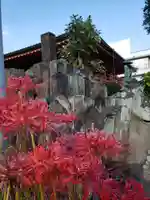 福寿院(東京都)